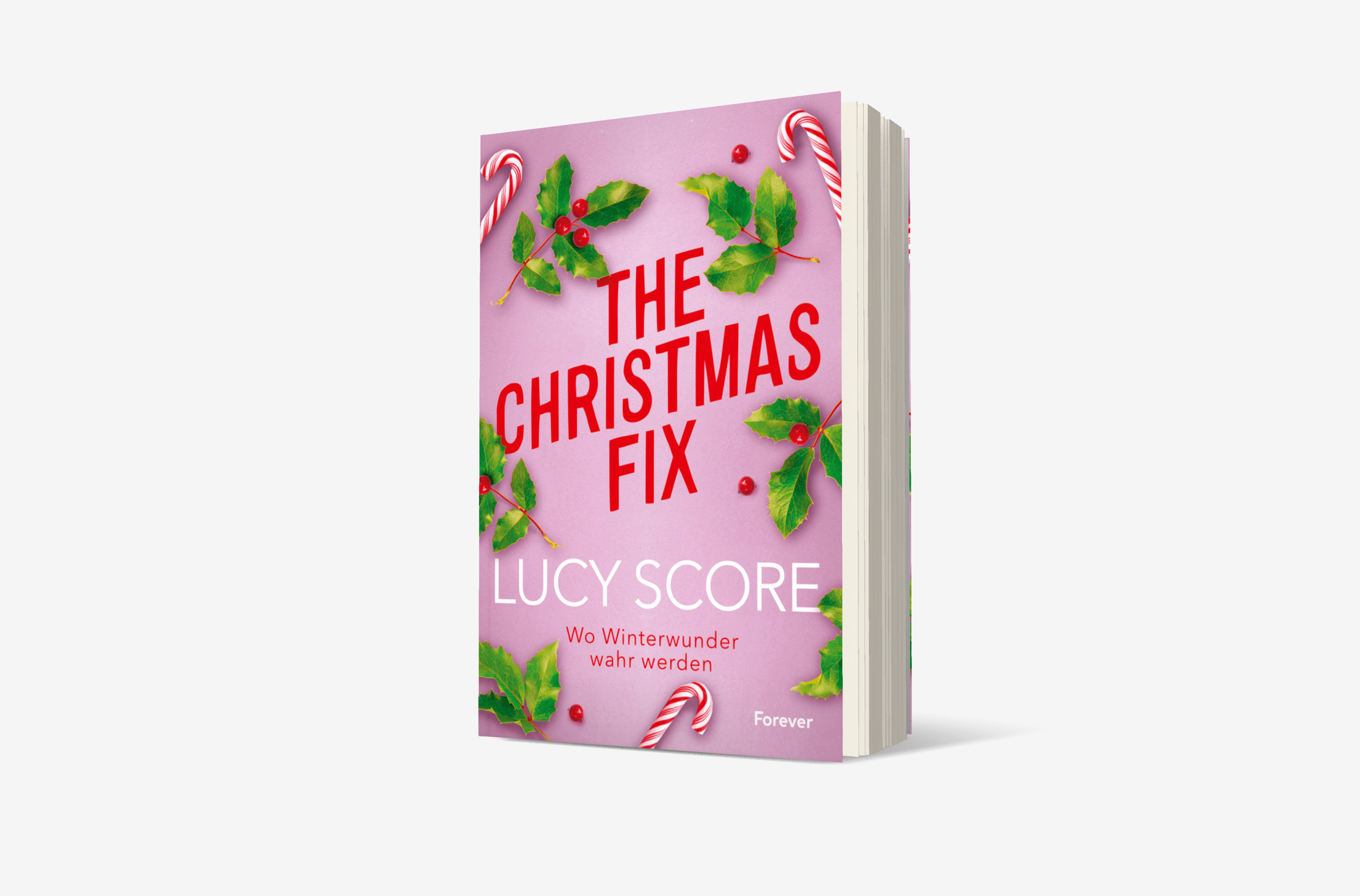 Buchcover von The Christmas Fix