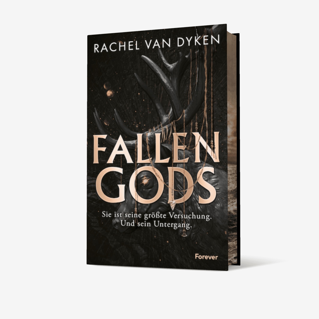 Buchcover von Fallen Gods (Fallen Gods 1)