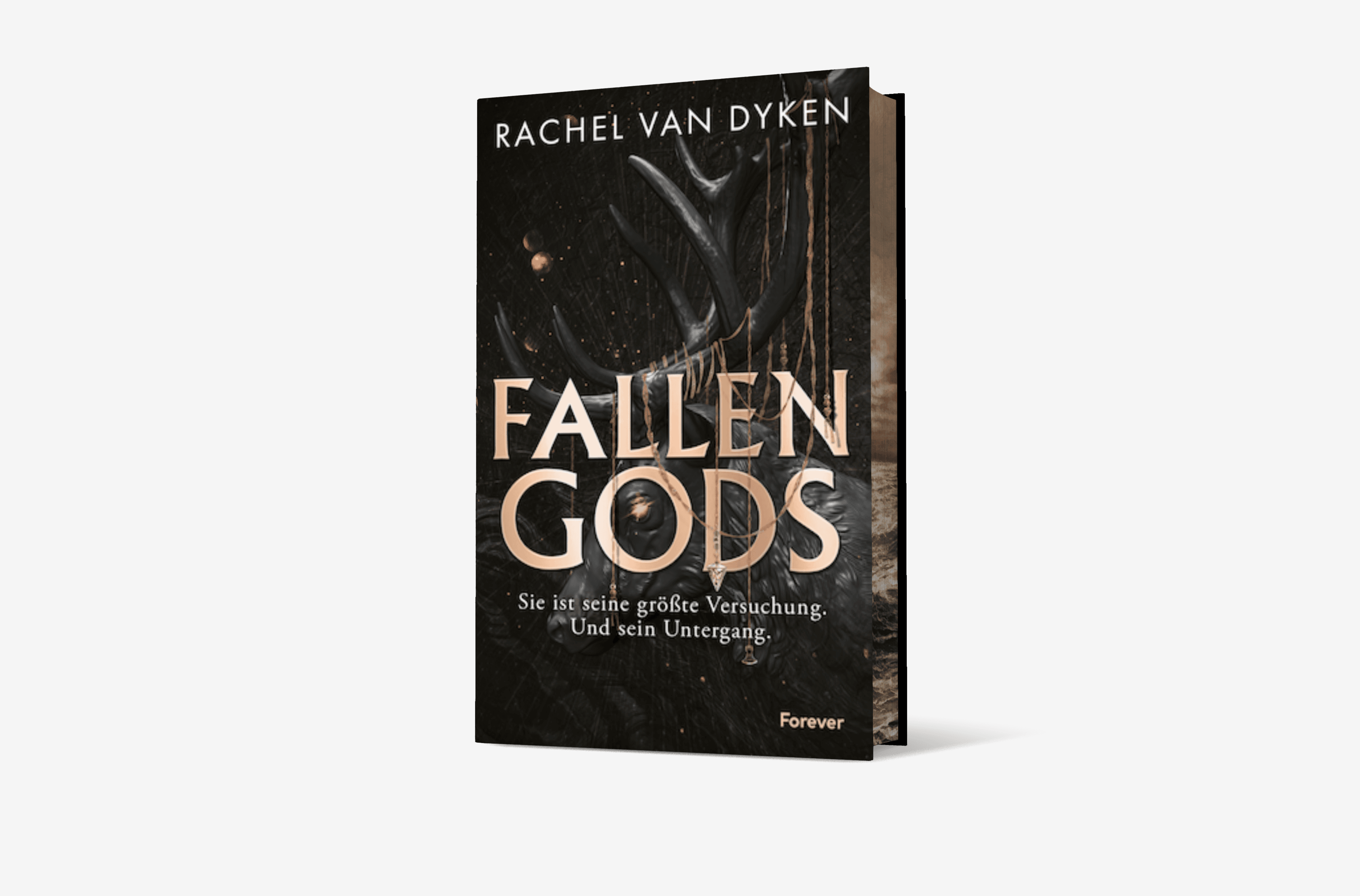 Buchcover von Fallen Gods (Fallen Gods 1)