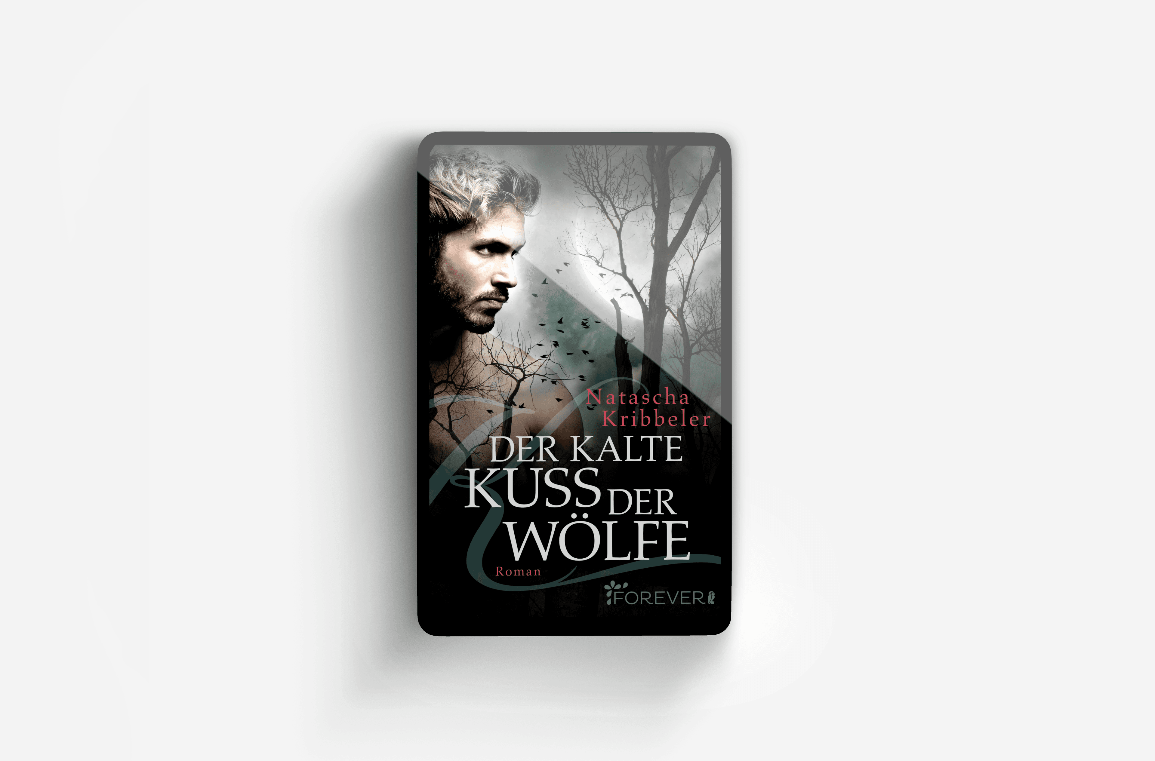 Buchcover von Der kalte Kuss der Wölfe (Jandor der Vampir 1)